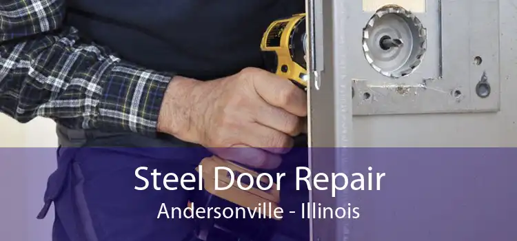 Steel Door Repair Andersonville - Illinois