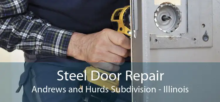 Steel Door Repair Andrews and Hurds Subdivision - Illinois