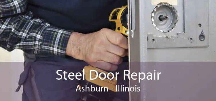 Steel Door Repair Ashburn - Illinois