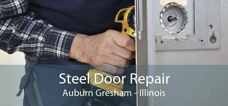 Steel Door Repair Auburn Gresham - Illinois