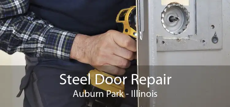 Steel Door Repair Auburn Park - Illinois