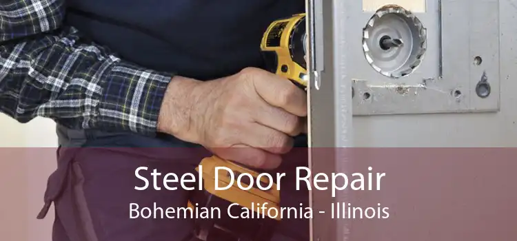 Steel Door Repair Bohemian California - Illinois