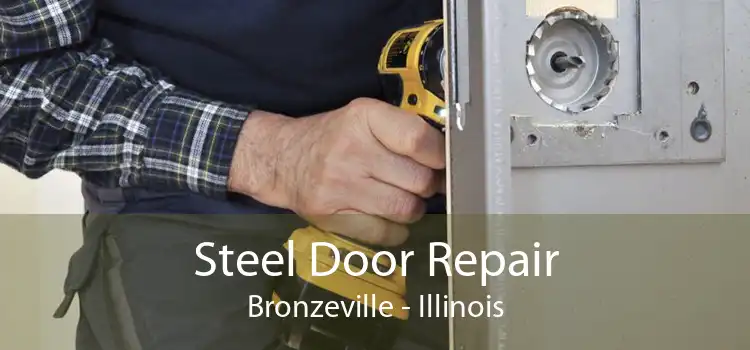 Steel Door Repair Bronzeville - Illinois