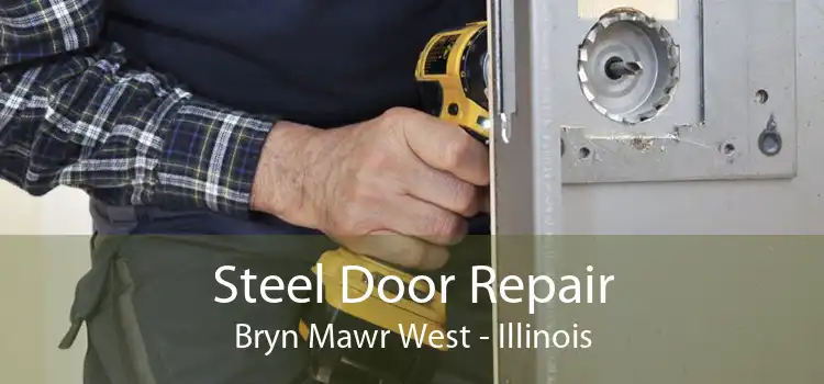 Steel Door Repair Bryn Mawr West - Illinois