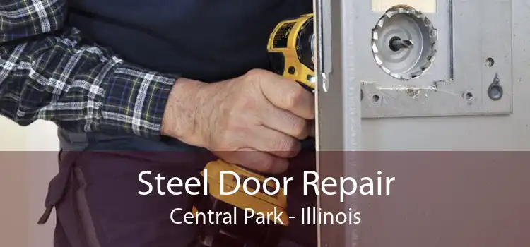 Steel Door Repair Central Park - Illinois