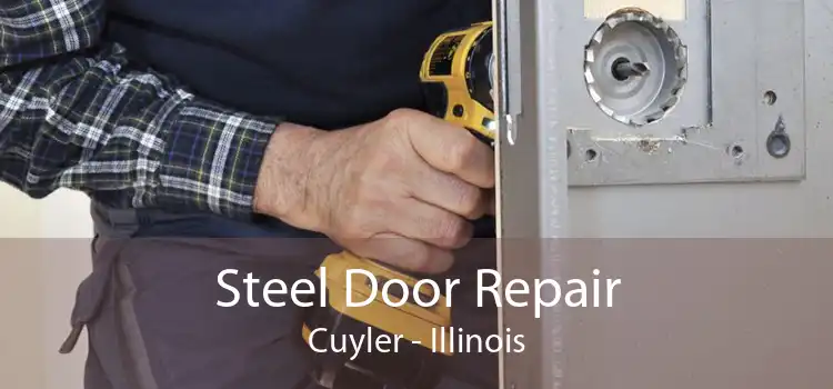 Steel Door Repair Cuyler - Illinois