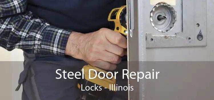 Steel Door Repair Locks - Illinois