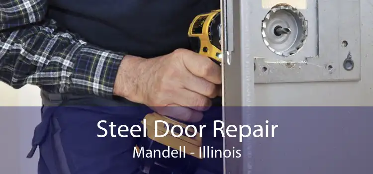 Steel Door Repair Mandell - Illinois