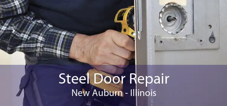 Steel Door Repair New Auburn - Illinois