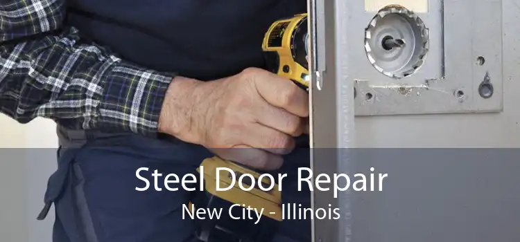 Steel Door Repair New City - Illinois