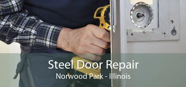 Steel Door Repair Norwood Park - Illinois