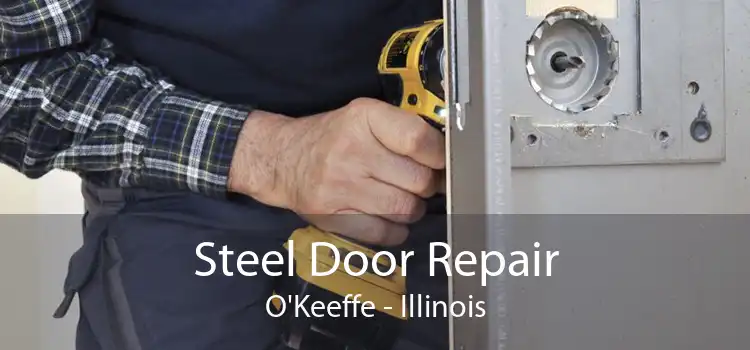 Steel Door Repair O'Keeffe - Illinois