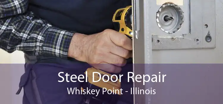 Steel Door Repair Whiskey Point - Illinois