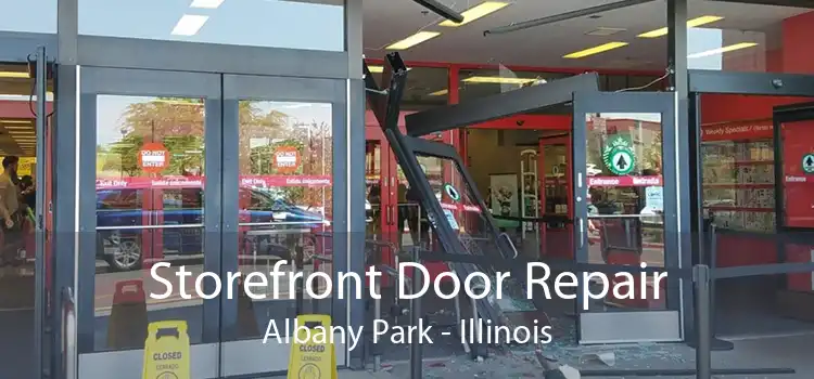 Storefront Door Repair Albany Park - Illinois