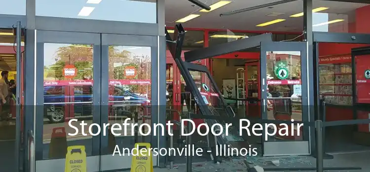 Storefront Door Repair Andersonville - Illinois