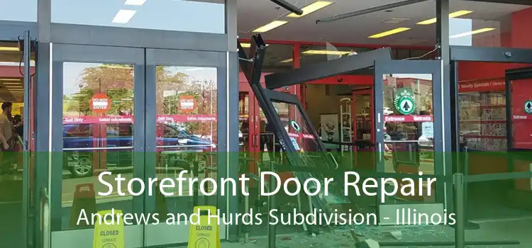 Storefront Door Repair Andrews and Hurds Subdivision - Illinois