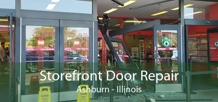 Storefront Door Repair Ashburn - Illinois