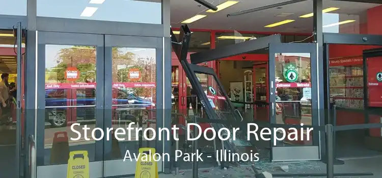 Storefront Door Repair Avalon Park - Illinois