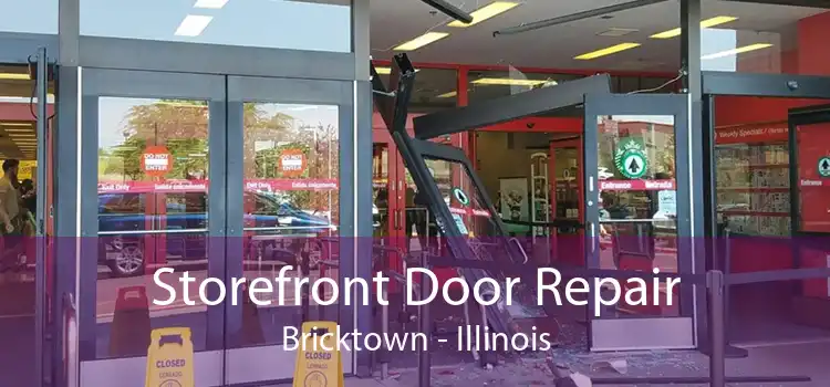 Storefront Door Repair Bricktown - Illinois