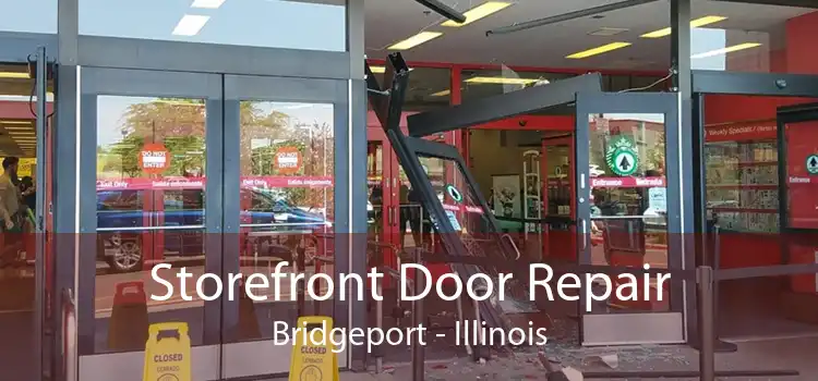 Storefront Door Repair Bridgeport - Illinois