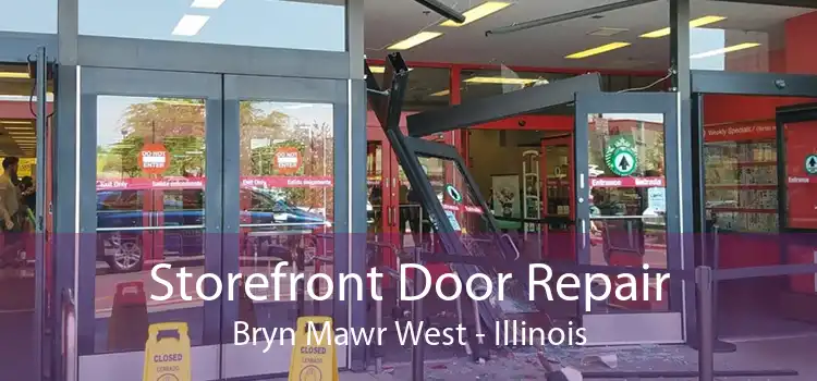 Storefront Door Repair Bryn Mawr West - Illinois