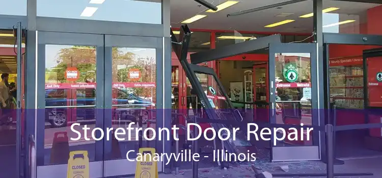 Storefront Door Repair Canaryville - Illinois