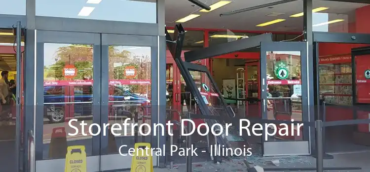 Storefront Door Repair Central Park - Illinois