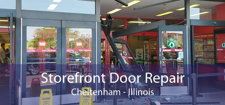 Storefront Door Repair Cheltenham - Illinois