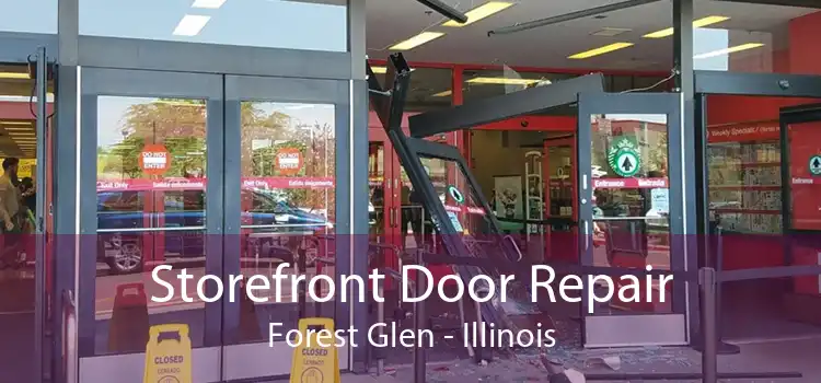 Storefront Door Repair Forest Glen - Illinois