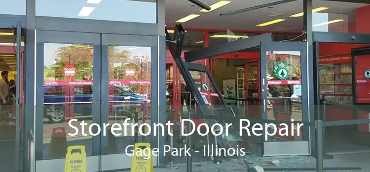 Storefront Door Repair Gage Park - Illinois