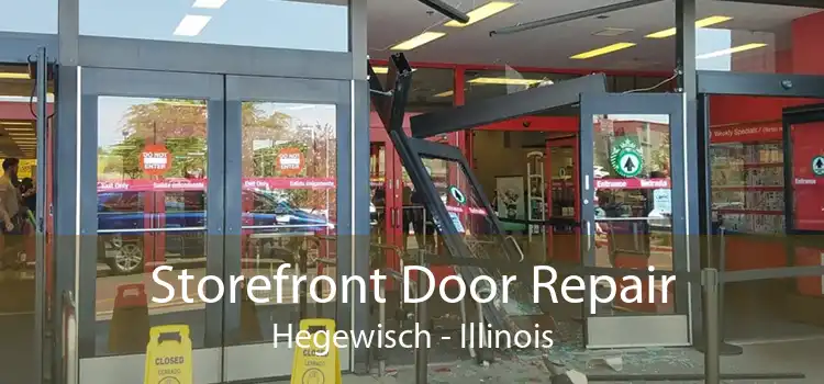 Storefront Door Repair Hegewisch - Illinois