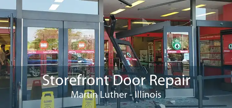 Storefront Door Repair Martin Luther - Illinois