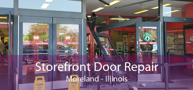 Storefront Door Repair Moreland - Illinois