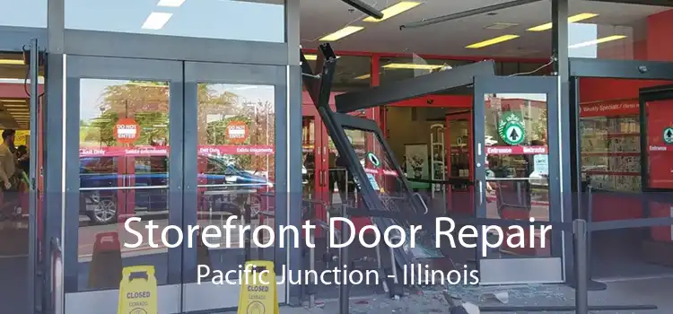 Storefront Door Repair Pacific Junction - Illinois