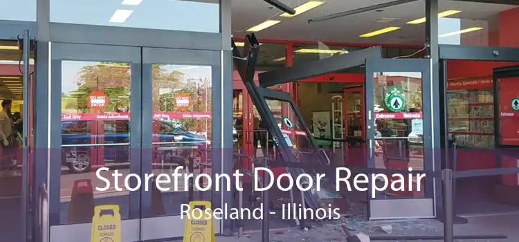 Storefront Door Repair Roseland - Illinois