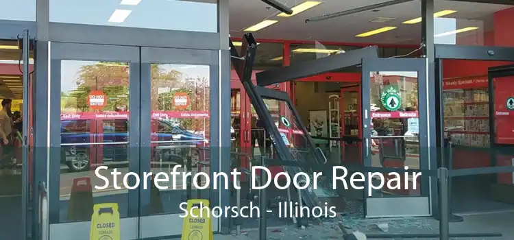 Storefront Door Repair Schorsch - Illinois