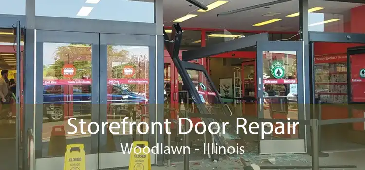 Storefront Door Repair Woodlawn - Illinois