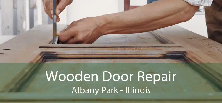 Wooden Door Repair Albany Park - Illinois