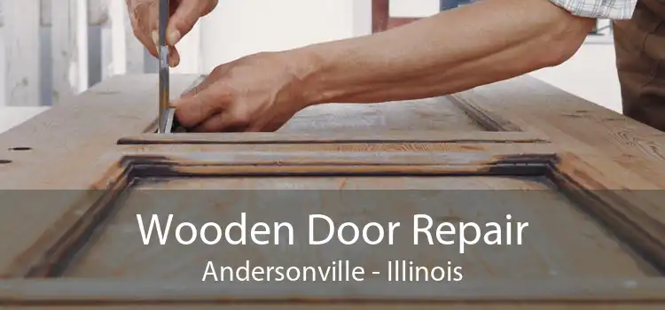 Wooden Door Repair Andersonville - Illinois