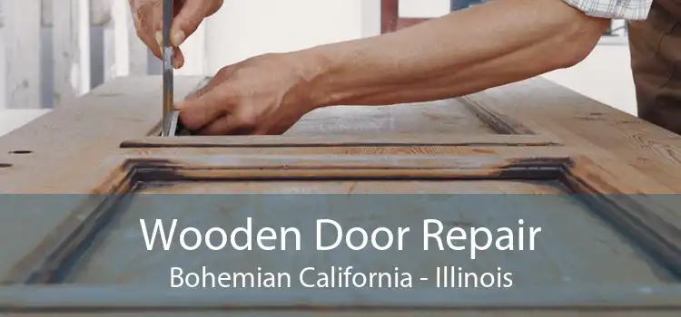 Wooden Door Repair Bohemian California - Illinois