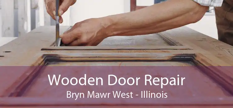 Wooden Door Repair Bryn Mawr West - Illinois