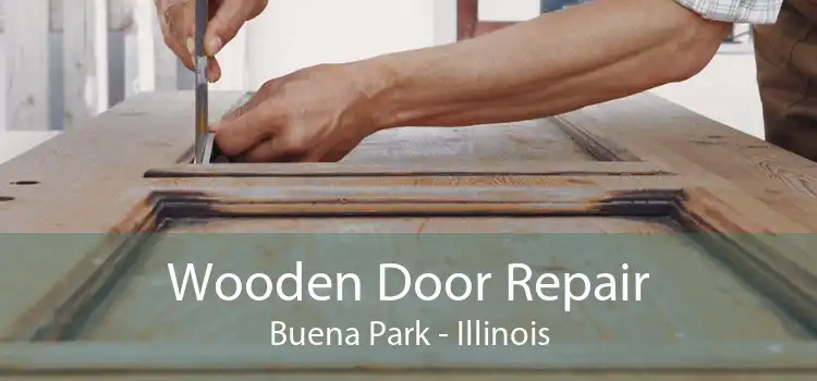 Wooden Door Repair Buena Park - Illinois