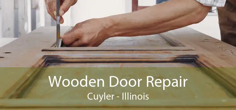 Wooden Door Repair Cuyler - Illinois