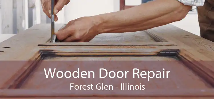 Wooden Door Repair Forest Glen - Illinois