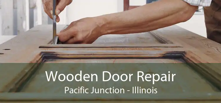 Wooden Door Repair Pacific Junction - Illinois